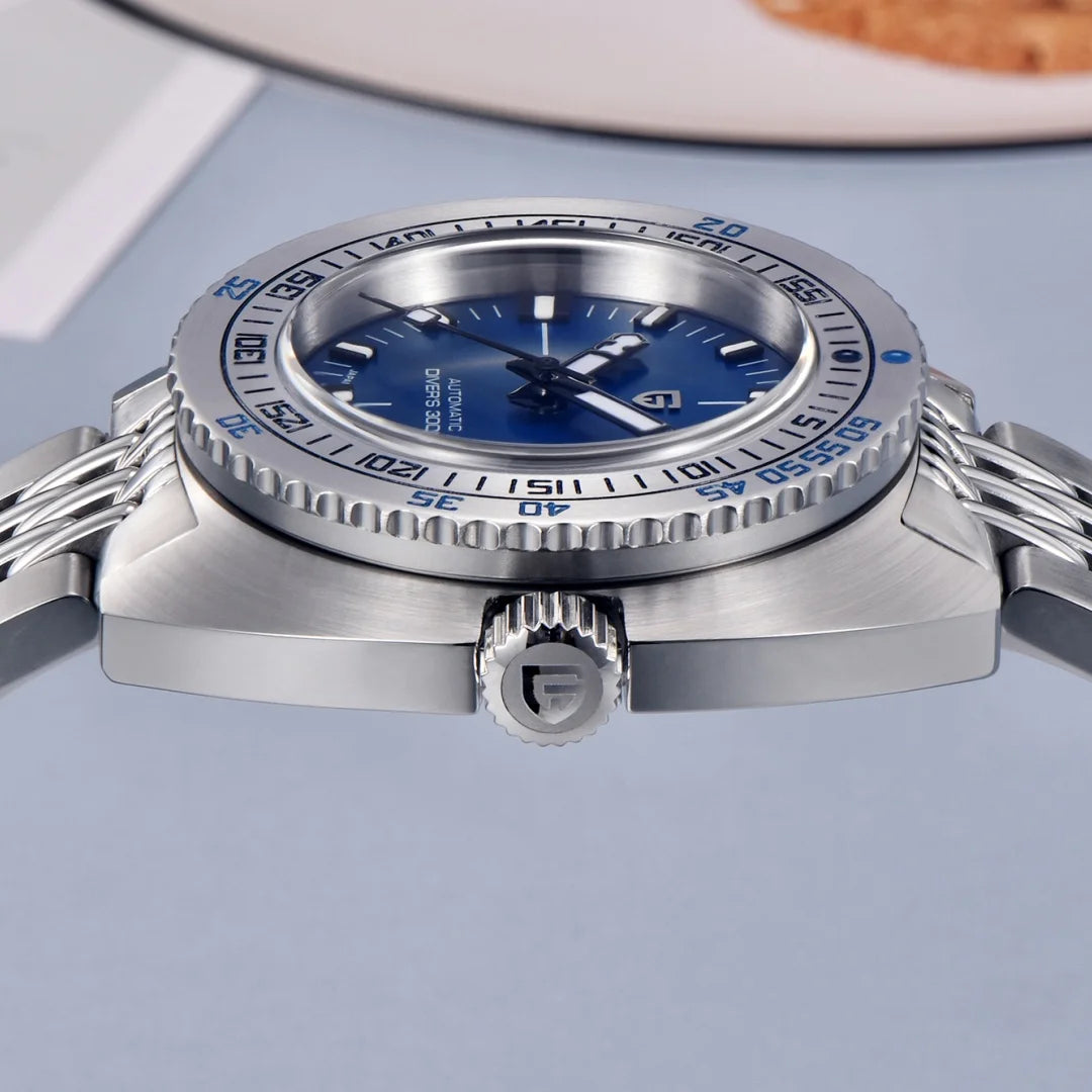 PAGANI DESIGN Men's Automatic Mechanical Divers Watches NH38 43mm | PD-1719