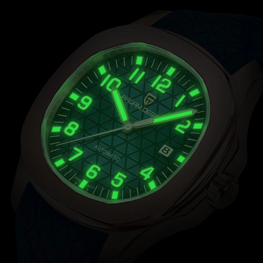 PAGANI DESIGN Men's Watches Automatic Luxury Mechanical 41mm | PD-YS031