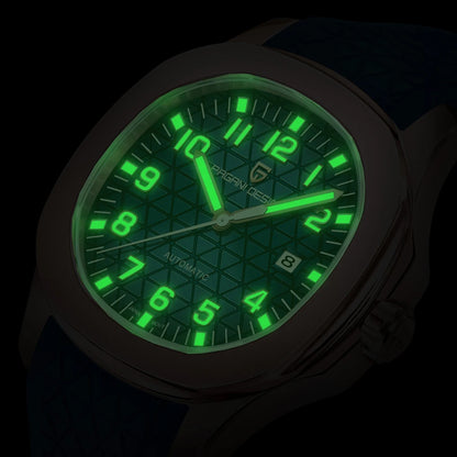 PAGANI DESIGN Men's Watches Automatic Luxury Mechanical 41mm | PD-YS031