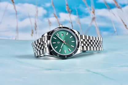 PAGANI DESIGN Men's Watch Mechanical Wrist Watch Automatic 40mm | PD-1821