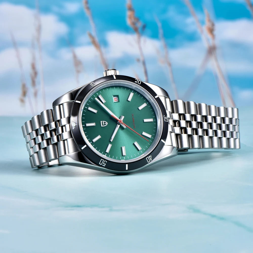 PAGANI DESIGN Men's Watch Mechanical Wrist Watch Automatic 40mm | PD-1821