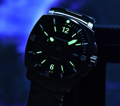 PAGANI DESIGN Date Mechanical Watches 43mm | PD-1820